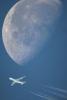 Moon Light alsunna.org (4)